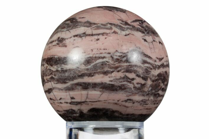 Polished Kona Dolomite (Stromatolite) Sphere - Michigan #354342